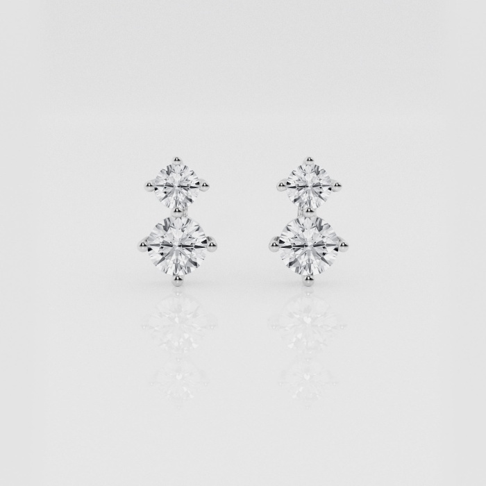 Natural Diamond | 1 ctw Round Two Stone Stud Earrings